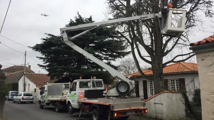 Taille et entretien de jardin à Saint-Médard-en-Jalles