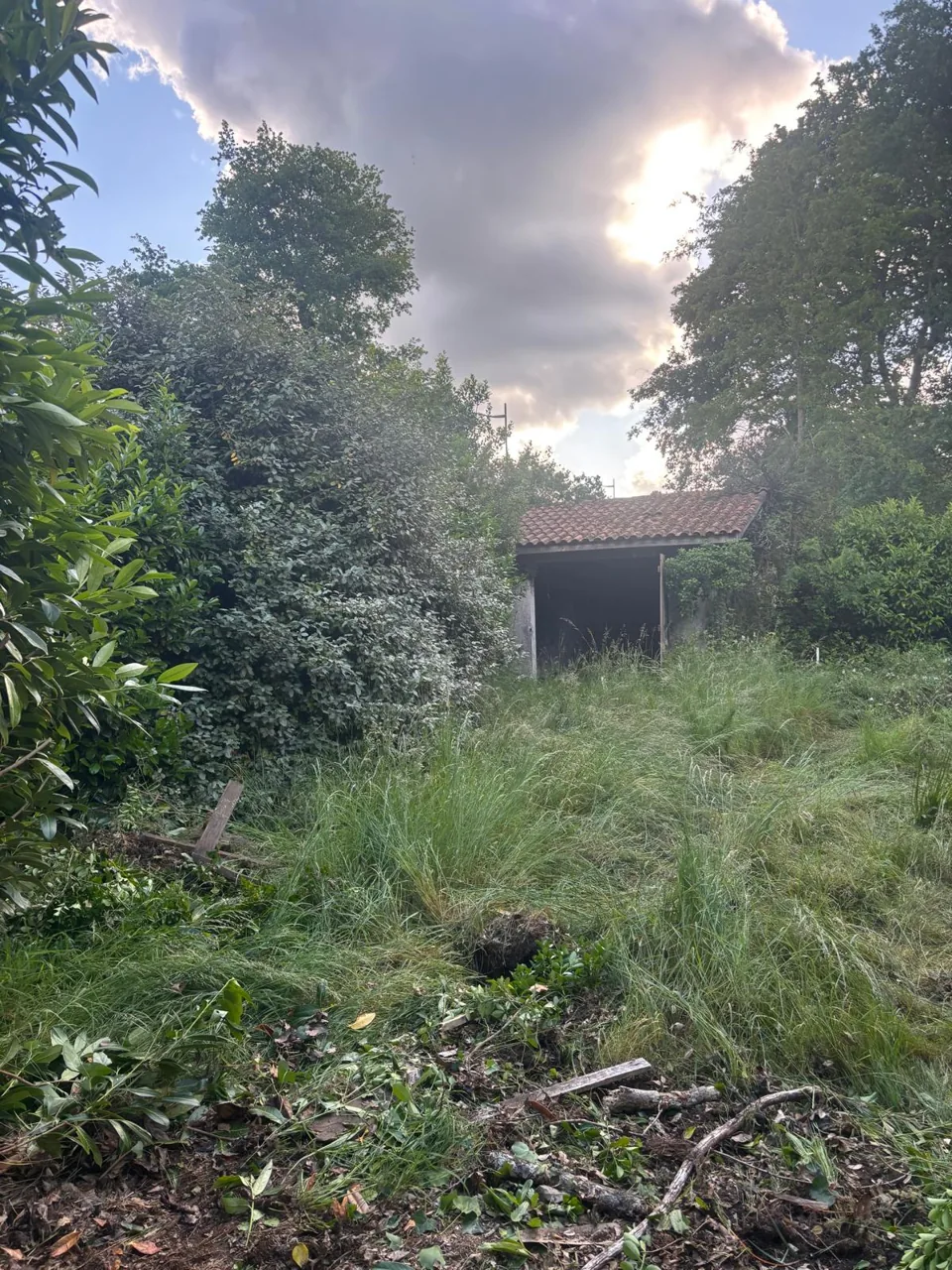 Terrain en friche avant nettoyage
